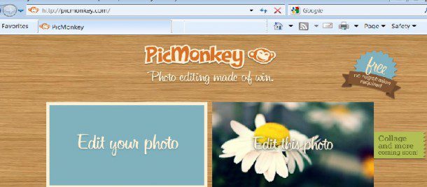 Picture Editing Online For Free with PicMonkey