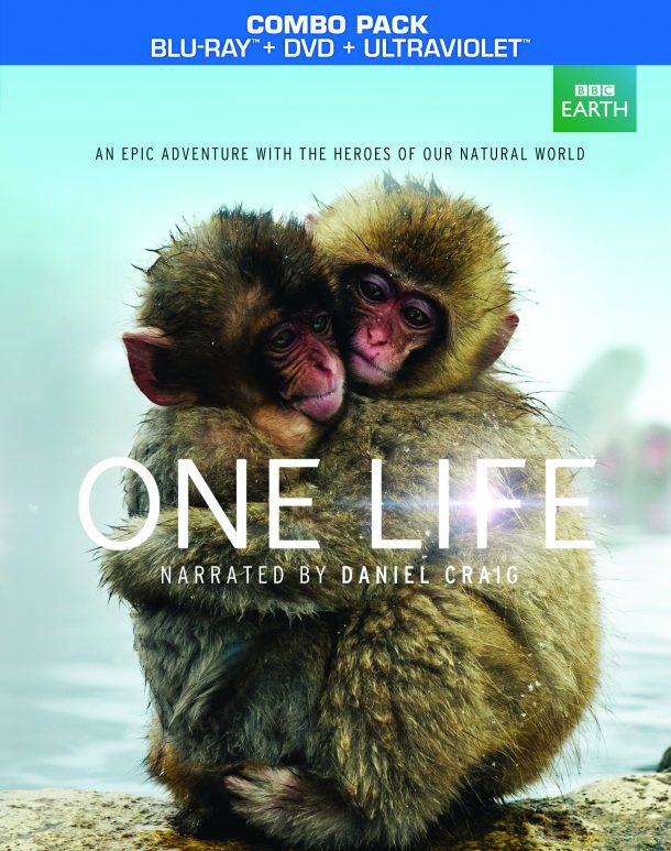 BBC One Life Movie Launch Twitter Party | BBC One Life Giveaways