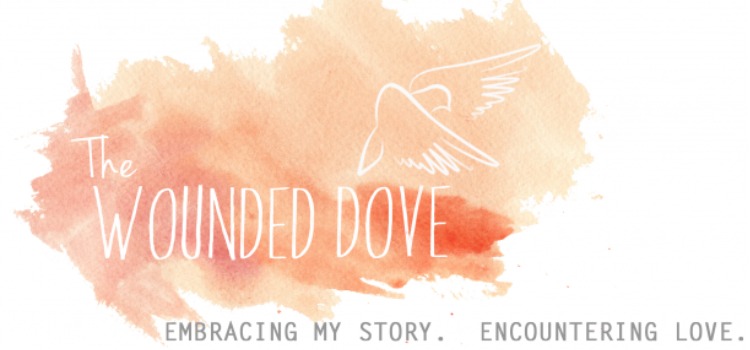 The Wounded Dove | The SITS Girls