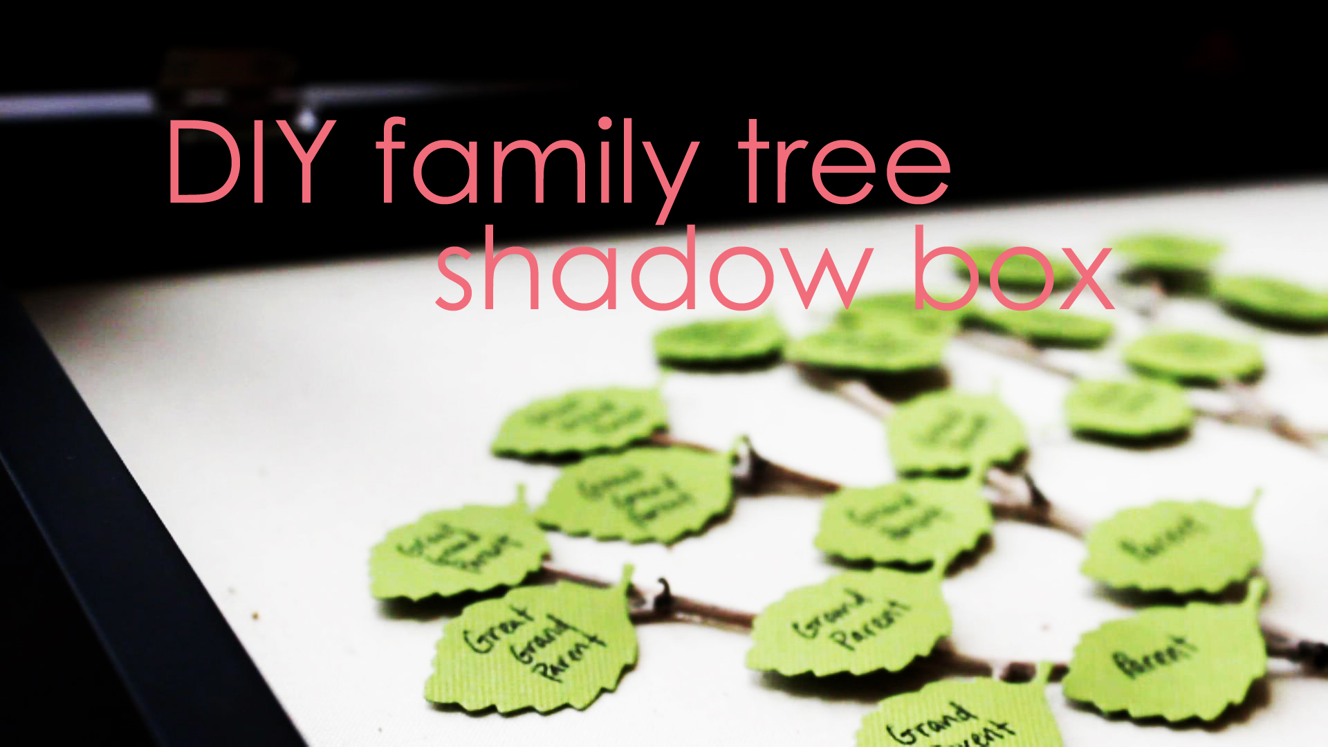 family tree ideas for school project