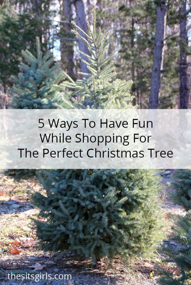 5-ways-to-build-memories-at-the-christmas-tree-farm